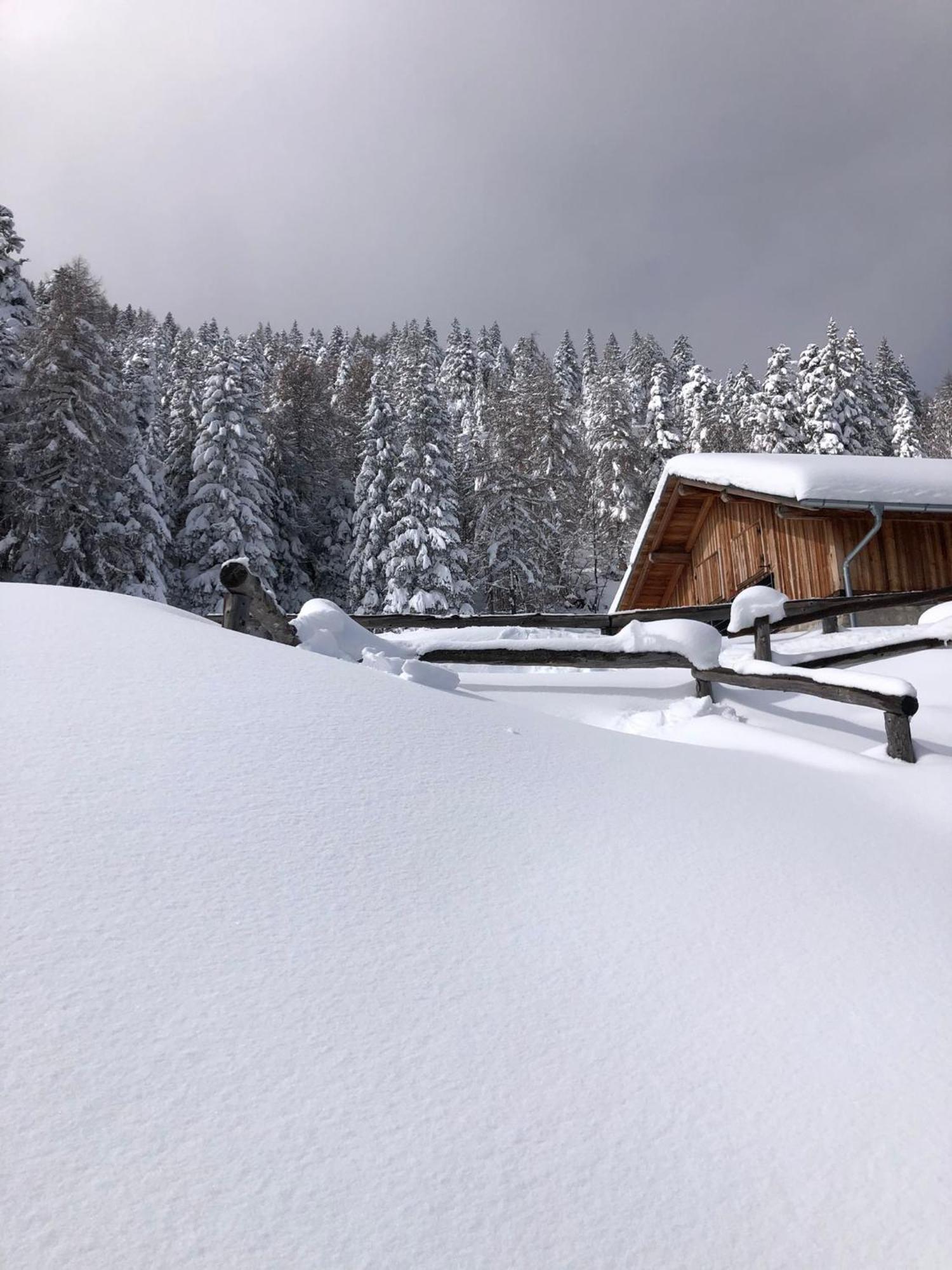 Brenta Luxury Chalet Sporminore Extérieur photo